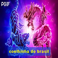 coelhinha do brasil