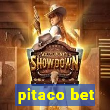 pitaco bet