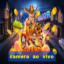 camera ao vivo beto carrero