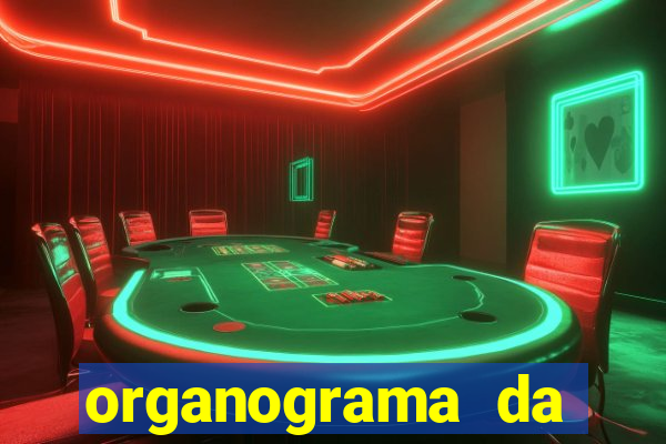 organograma da cacau show