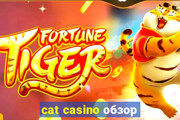 cat casino обзор