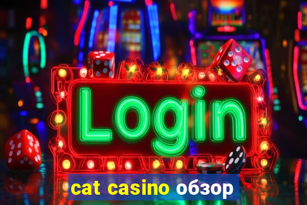 cat casino обзор