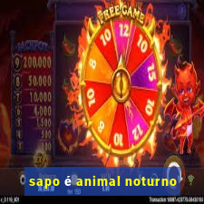 sapo é animal noturno