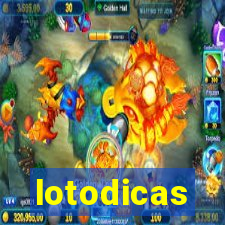 lotodicas