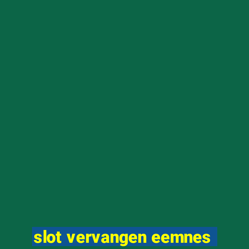 slot vervangen eemnes