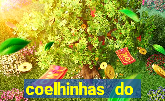 coelhinhas do brasil acompanhantes