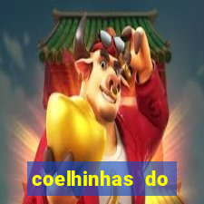 coelhinhas do brasil acompanhantes