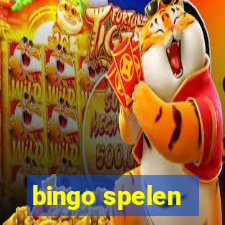 bingo spelen