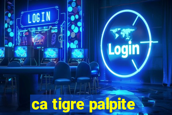 ca tigre palpite