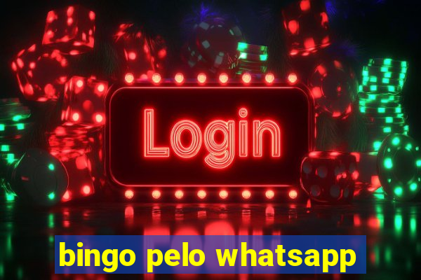 bingo pelo whatsapp