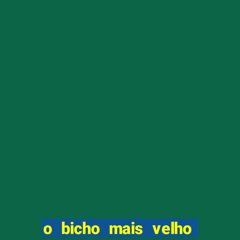 o bicho mais velho da loteria dos sonhos