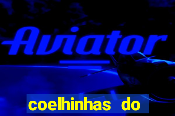 coelhinhas do brasil jp