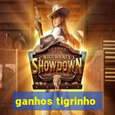 ganhos tigrinho