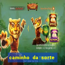 caminho da sorte esporte net