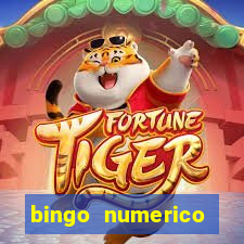 bingo numerico educa??o infantil