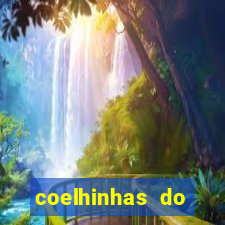 coelhinhas do brasil recife