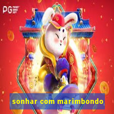 sonhar com marimbondo