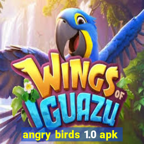 angry birds 1.0 apk