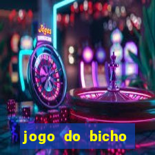 jogo do bicho crash bingo