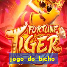 jogo do bicho crash bingo