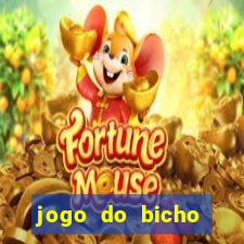 jogo do bicho crash bingo