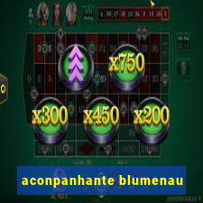 aconpanhante blumenau