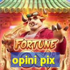 opini pix