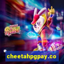 cheetahpgpay.com