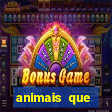 animais que produzem l茫