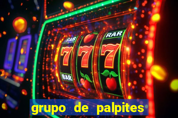 grupo de palpites de futebol whatsapp