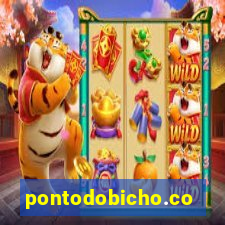 pontodobicho.com