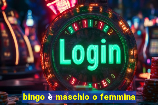 bingo è maschio o femmina