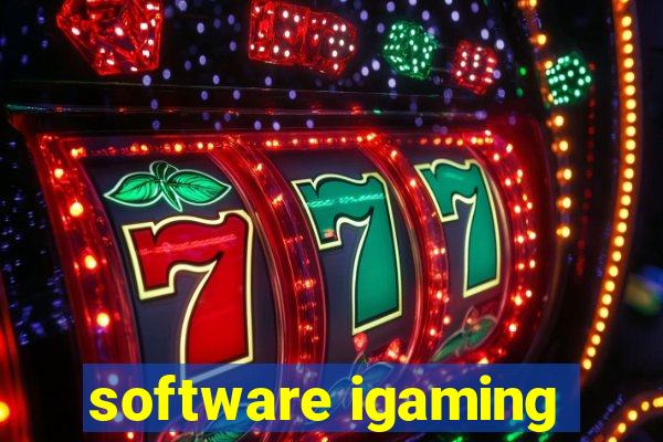 software igaming