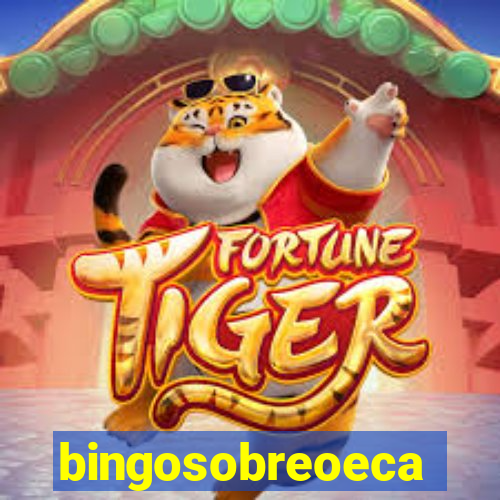 bingosobreoeca