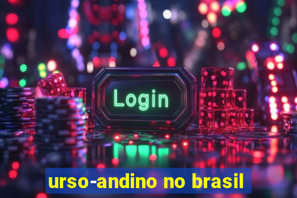 urso-andino no brasil