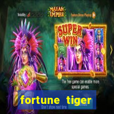 fortune tiger source code