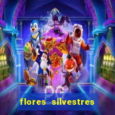 flores silvestres desbravadores desbravadores 25 flores silvestres e seus nomes