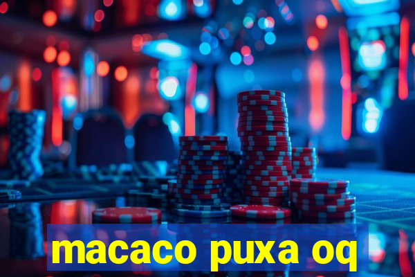 macaco puxa oq