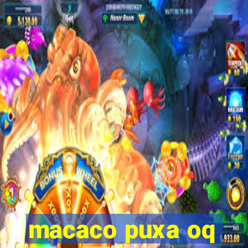 macaco puxa oq