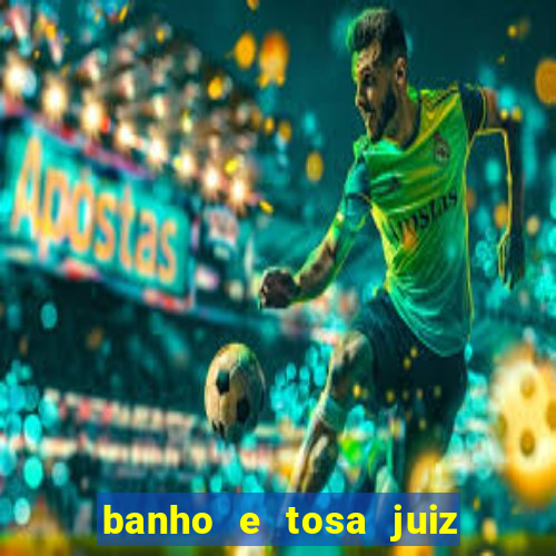 banho e tosa juiz de fora