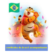 coelhinha do brasil acompanhante