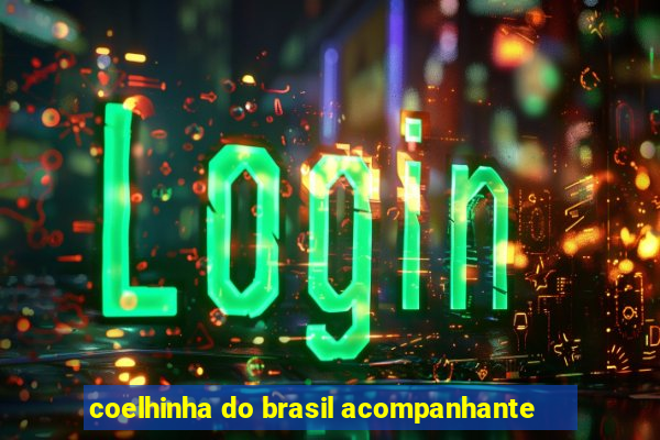 coelhinha do brasil acompanhante