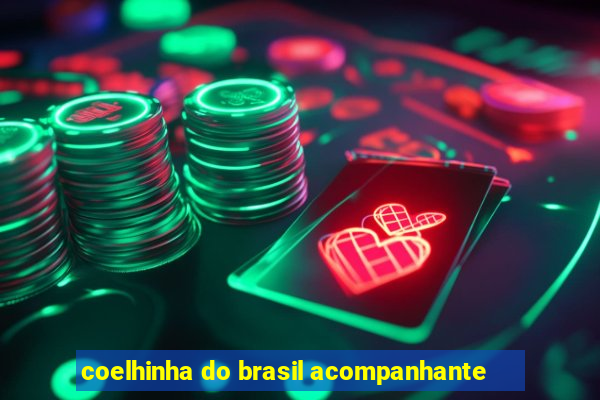 coelhinha do brasil acompanhante