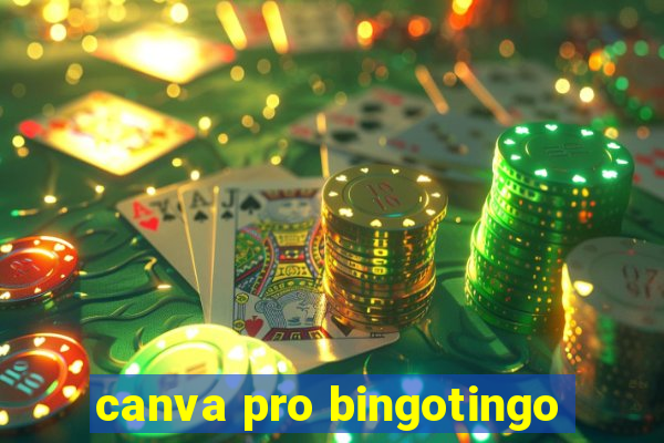 canva pro bingotingo