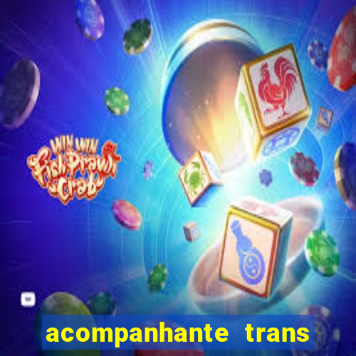 acompanhante trans porto seguro