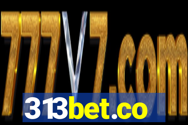 313bet.co