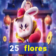 25 flores silvestres com nomes 25 flores silvestres desbravadores