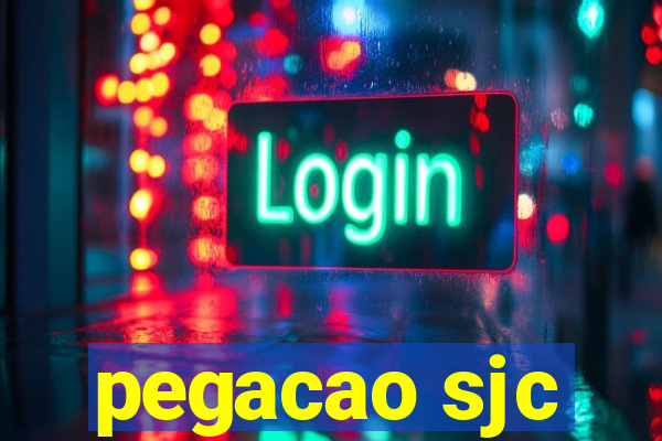 pegacao sjc