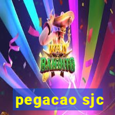 pegacao sjc