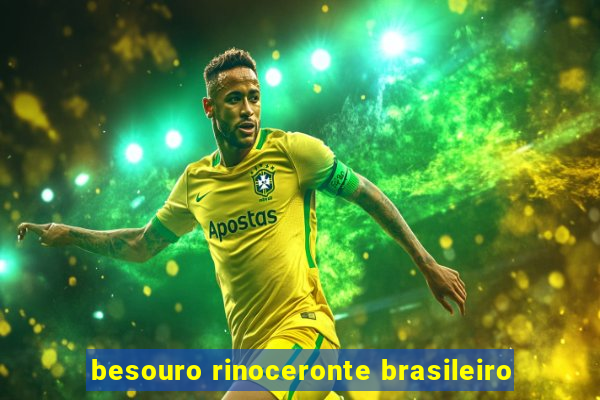 besouro rinoceronte brasileiro